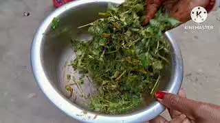 দারুন লোভনিও এই ধনিয়াপতার আচার এক বছর রেখে খেতে পারবে।।....