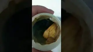 YUMMY  BALOT #EATING #EGG #TRENDS ##SHORTS