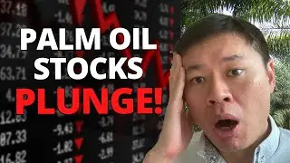 Palm Oil Stocks PLUNGE! 😱 Why I'm Not Concerned (Yet)... | Indonesia Ban's Palm Oil Exports