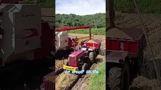 vari kotha|#youtube |#shots |#farming |#agriculture