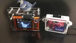 Time lapse controller for pocket camera