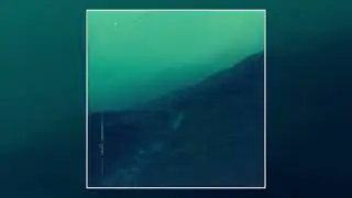 ohhdeer - limerence