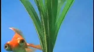 Oregon Coast Aquarium commercial