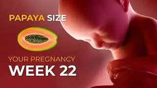 22 Weeks Pregnant: Baby Can Feel Touch Now! 👶✨ Papaya Size & Big Changes