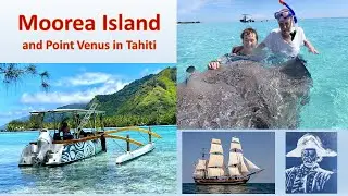 Moorea Island: snorkeling, corals, sharks, stingrays, cooking  ceviche. Tahiti: Mutiny on the Bounty