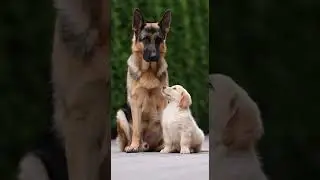 awkward first encounter turns into unexpected laughter #awkwardmoments #firstmeet #funny