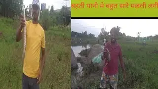 amazing fishing || black rohu fish catching || jumar river