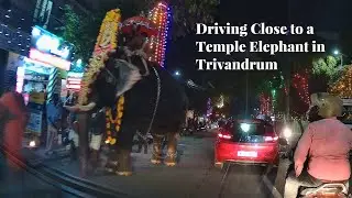 Driving Close to a Temple Elephant in Trivandrum