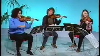 New Zealand String Quartet - Schubert Scherzo in C major - live 1992 TV performance