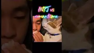 Hollywood lies to you #intj #mbti #cat #memes #foryou #shortsfeed #shortvideo #funny #shorts