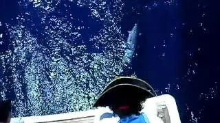 DSCF4011
