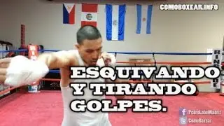 Trabajo de Los Pies 4 ((Esquivando y Tirando Golpes)) - Tecnicas Fundamentales