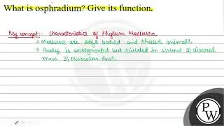 What is osphradium? Give its function. \( \mathrm{W} \)
