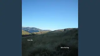 Cut the Kite String