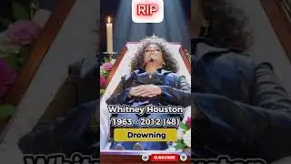 Remembering 7 Music Legends | Tribute to Icons We Lost #celebritydeath #rip #ripple #tribute