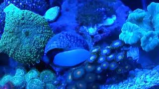 Office Pico Erick Camargo - ReefShare