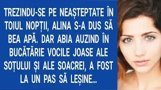 Trezindu-se pe neașteptate în toiul nopții, Alina s-a dus să bea apă.Dar abia auzind în bucătărie...