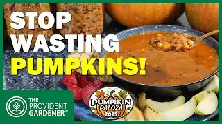 Хватит тратить тыквы! Попробуйте мой рецепт чили из тыквенной грядки #PumpkinPalooza2025