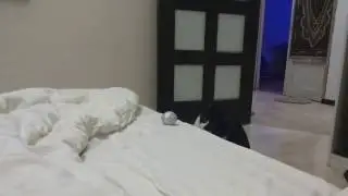 VID 20161101 203801