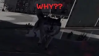 PS5 RUST NERF THE WOLVES!!