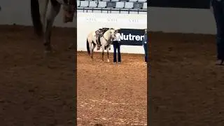 Flex is the AQHYA barrel racing world champion! #fabulouslastwords