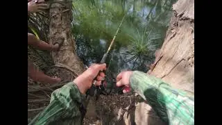 Good fishing trip with the boys sorry for no volume #fishing #sooty #fishingvlog #fishingvideo #fish