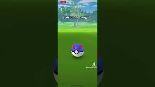 Catching a Wingull!