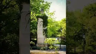 Find Solitude on the Philosopher's Walk