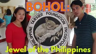 Bohol Trip  #tb Travel-Local