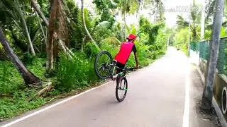 Stunt bsr