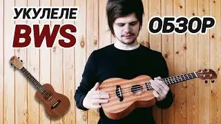 Обзор Укулеле BWS