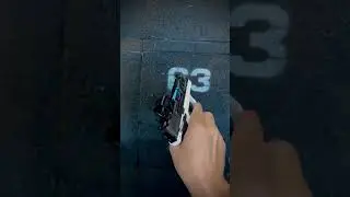 SigSauer P365 Custom #sigsauer #p365 #holosun #holosunEPScarry  #PPtactics #TacticalMind