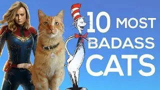 The 10 Most Badass Cats in the Universe