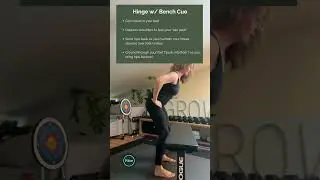 Hinge w/ Bench Cue #pillar #deadlifttechnique #strengthtraining #hingetutorial