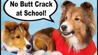 Первый день подготовки малыша Кевина к школе&hellip; В стиле печенья 🤦&zwj;♀️🐶 e1083