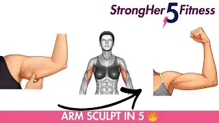 5-Minute Arm Sculpt 💪 Tone Arms & Improve Posture