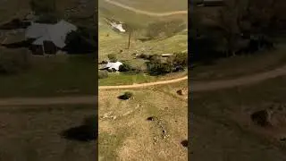 Alpha low pass