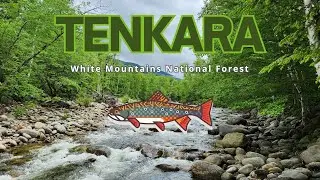 Tenkara Fly Fishing: The Peabody River: White Mountains, NH #newhampshire #tenkarafishing #tenkara