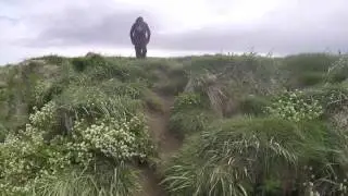 Drangey Iceland