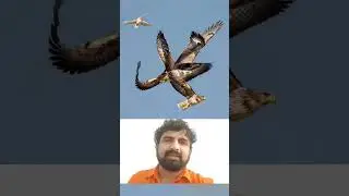 #awesome#