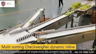 Multi-sorting checkweigher-banana vegetable weighing sorting