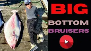 ---FISHING FOR THE HALIBUT---  BIG BOTTOM BRUISERS !!!!!