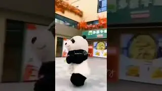funny panda Frank,,😀😀😀💗💗💗💝🤪❤️❤️❤️😃😃😃😃😘😃😃😃😃😘😃😃😃😃😃😃😃😃😃😃😃😃😃😃😃😃😃😃😃😃😃😃😃😃#shorts #comedy #tseries #dance