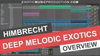 Himbrecht Deep Melodic Exotics | Henry Saiz, Floating Points, Jungle, Robert Babicz Style Samples