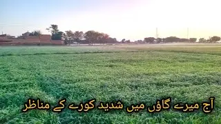 beautiful view of fog and mist after rainfall in my village
