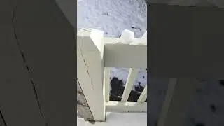 fun activity snow ducks