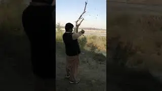 Moon star xr 20 full auto 30 bore