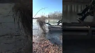 Efficient Waterbody and Shoreline Cleaning with an Amphibious Machine