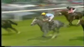 1984 Stewards Cup Goodwood Petong