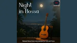 Palm Shadows (Relaxed Guitar and Light Percussion)